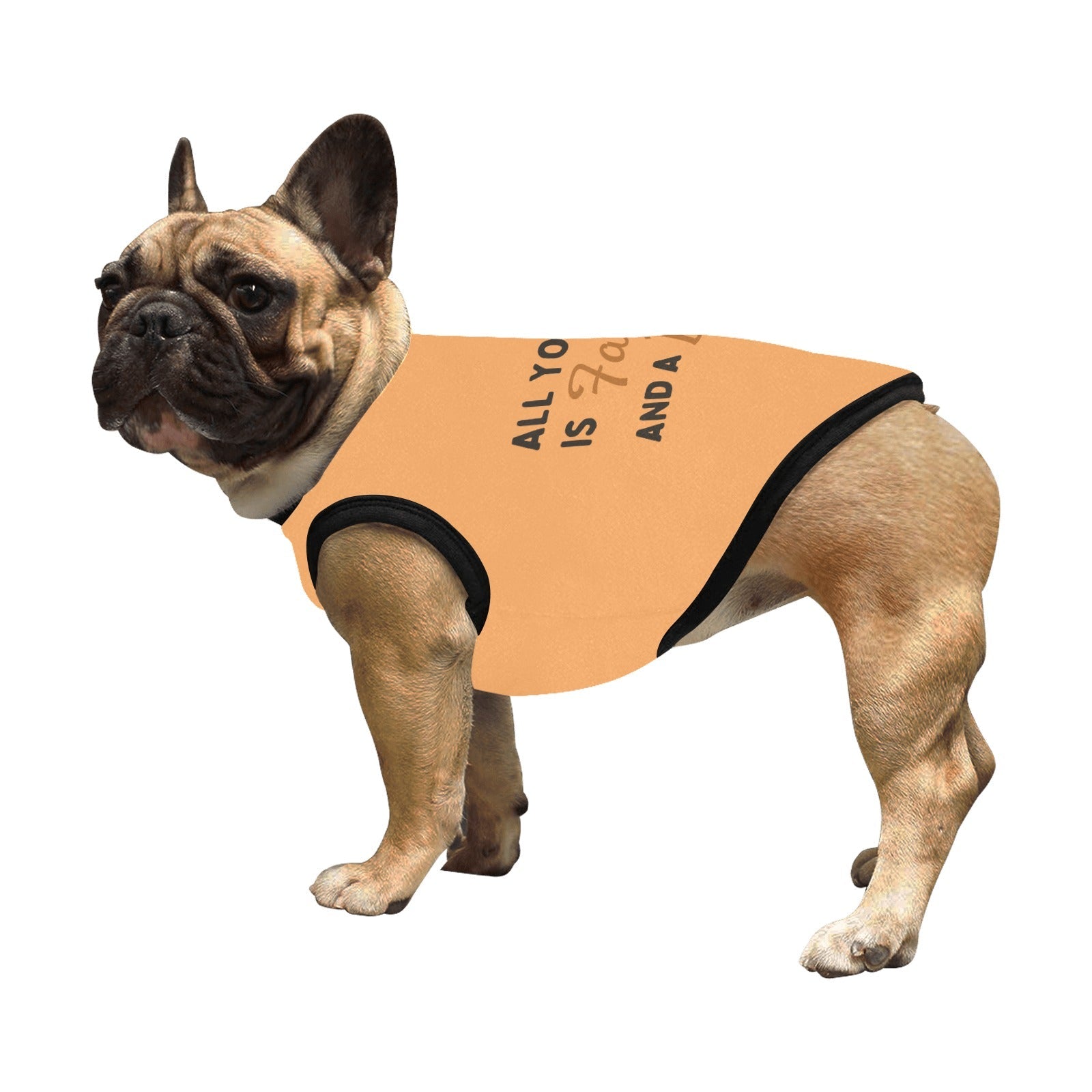 Pawsitive Faithful Friend Dog Tank Top - Paws n Smiles